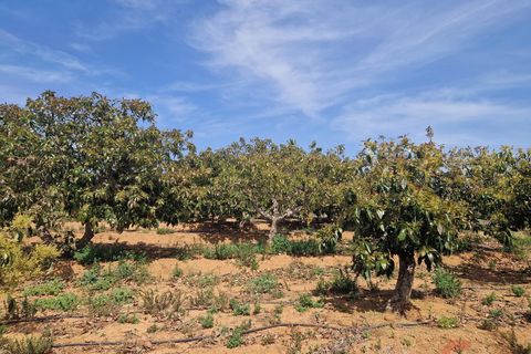 Finca i Salobrena, Granada, Salobrena - € 127.000 | Ref: MP561 - foto 3
