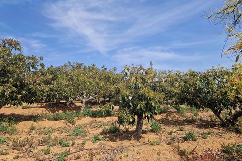 Finca i Salobrena, Granada, Salobrena - € 127.000 | Ref: MP561 - foto 6
