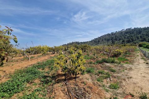 Finca i Salobrena, Granada, Salobrena - € 127.000 | Ref: MP561 - foto 10