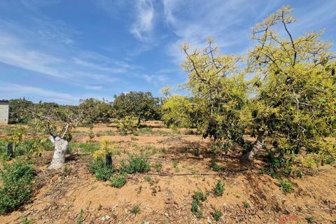Finca i Salobrena, Granada, Salobrena - € 127.000 | Ref: MP561 - foto 11