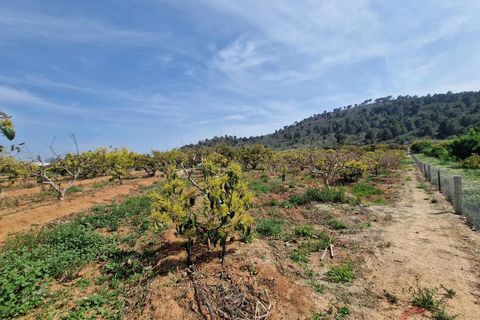 Finca i Salobrena, Granada, Salobrena - € 127.000 | Ref: MP561 - foto 12