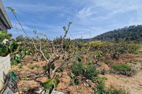 Finca i Salobrena, Granada, Salobrena - € 127.000 | Ref: MP561 - foto 13