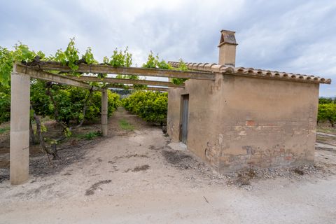 Landejendom i Bitem, Tarragona, Bitem - € 126.000 | Ref: 43 - foto 36