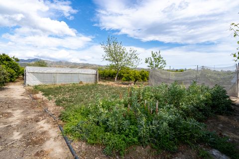 Landejendom i Bitem, Tarragona, Bitem - € 126.000 | Ref: 43 - foto 23