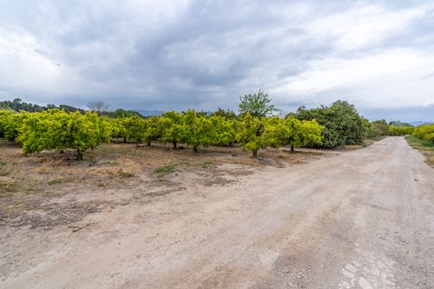 Landejendom i Bitem, Tarragona, Bitem - € 126.000 | Ref: 43 - foto 33