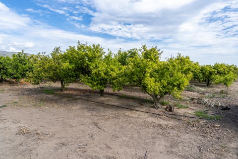 Landejendom i Bitem, Tarragona, Bitem - € 126.000 | Ref: 43 - foto 24