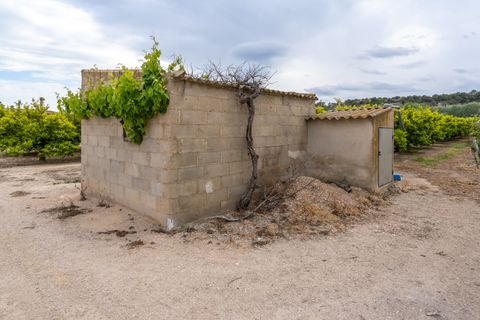 Landejendom i Bitem, Tarragona, Bitem - € 126.000 | Ref: 43 - foto 37