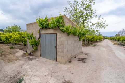 Landejendom i Bitem, Tarragona, Bitem - € 126.000 | Ref: 43 - foto 38