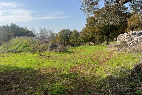 Landejendom i Cisternino, Brindisi, Cisternino - € 400.000 | Ref: 272 - foto 30