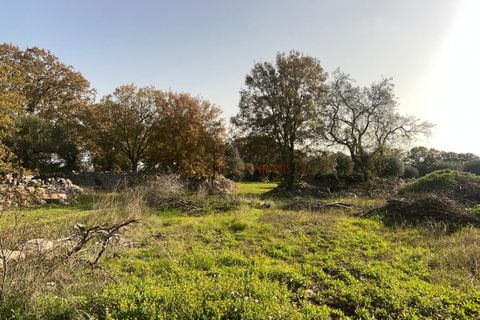 Landejendom i Cisternino, Brindisi, Cisternino - € 400.000 | Ref: 272 - foto 46