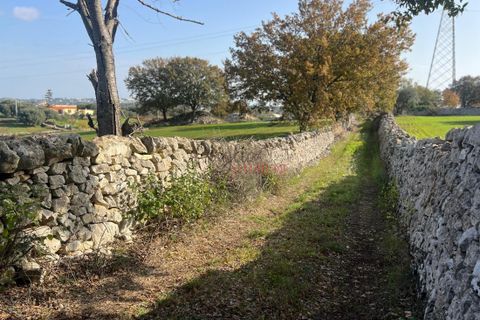 Landejendom i Cisternino, Brindisi, Cisternino - € 400.000 | Ref: 272 - foto 31