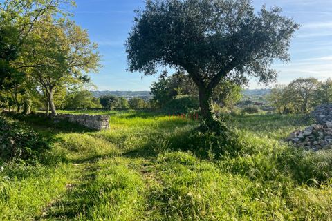 Landejendom i Cisternino, Brindisi, Cisternino - € 400.000 | Ref: 272 - foto 5