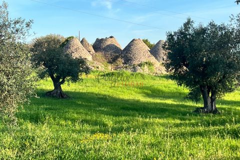 Landejendom i Cisternino, Brindisi, Cisternino - € 400.000 | Ref: 272 - foto 7