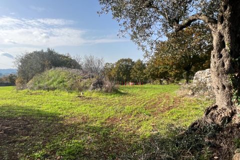 Landejendom i Cisternino, Brindisi, Cisternino - € 400.000 | Ref: 272 - foto 44
