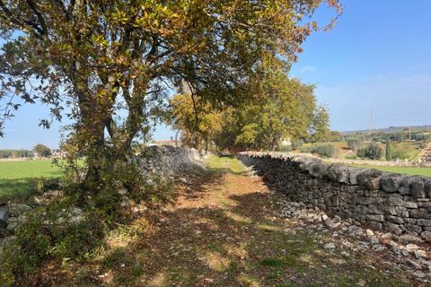 Landejendom i Cisternino, Brindisi, Cisternino - € 400.000 | Ref: 272 - foto 35