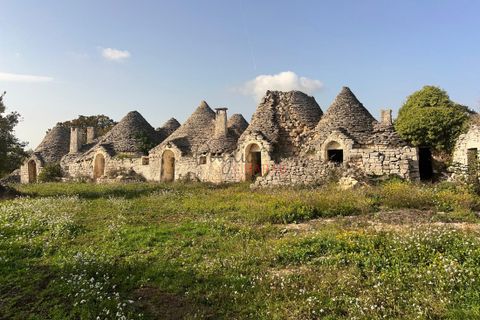 Landejendom i Cisternino, Brindisi, Cisternino - € 400.000 | Ref: 272 - foto 49