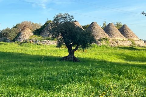 Landejendom i Cisternino, Brindisi, Cisternino - € 400.000 | Ref: 272 - foto 17