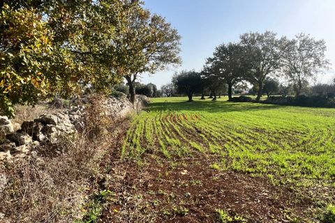 Landejendom i Cisternino, Brindisi, Cisternino - € 400.000 | Ref: 272 - foto 33