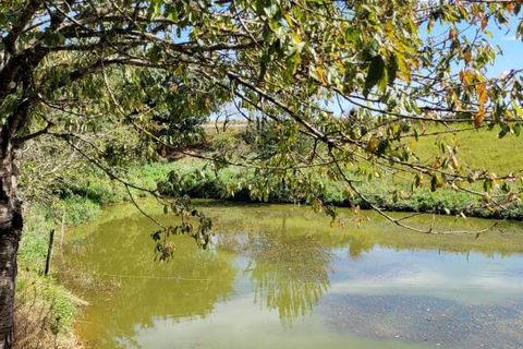 Villa i Roumegoux, Tarn, Roumegoux - € 198.000 | Ref: A5306 - foto 2
