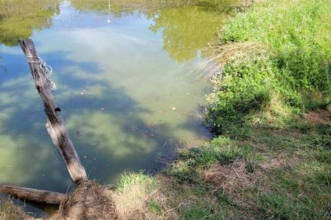 Villa i Roumegoux, Tarn, Roumegoux - € 198.000 | Ref: A5306 - foto 5