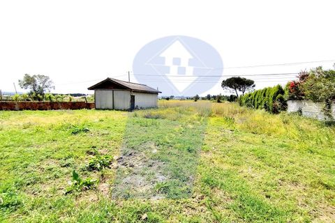 Villa in Aveiro, Aveiro, Aveiro - € 220.000 | Ref: HAB_1072 - foto 24