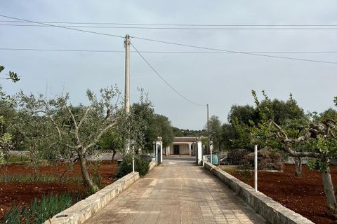Villa i Ostuni, Brindisi, Ostuni - € 310.000 | Ref: 764 - foto 6