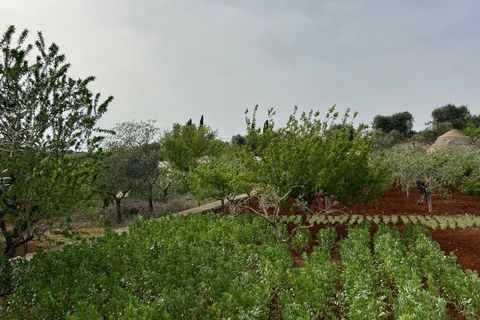 Villa i Ostuni, Brindisi, Ostuni - € 310.000 | Ref: 764 - foto 33