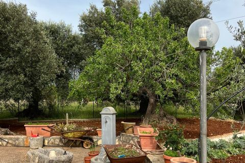 Villa i Ostuni, Brindisi, Ostuni - € 310.000 | Ref: 764 - foto 34
