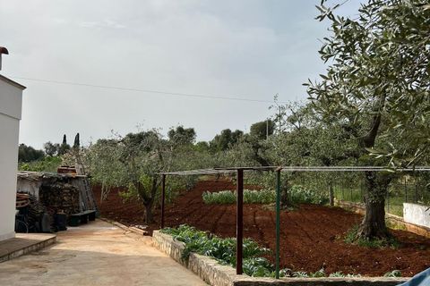 Villa i Ostuni, Brindisi, Ostuni - € 310.000 | Ref: 764 - foto 35