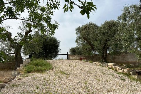 Villa i Ostuni, Brindisi, Ostuni - € 310.000 | Ref: 764 - foto 37