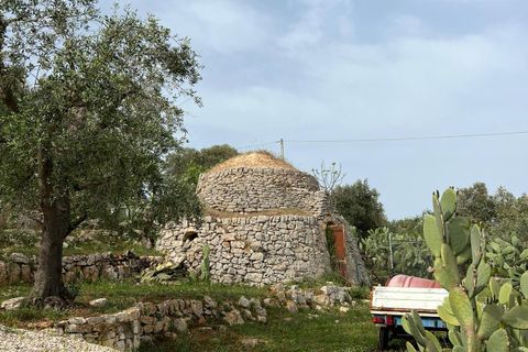 Villa i Ostuni, Brindisi, Ostuni - € 310.000 | Ref: 764 - foto 42