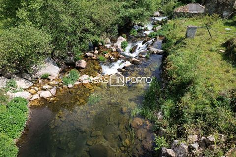 Villa i Baiao, Porto, Baiao - € 120.000 | Ref: Moradias_InBaião_4062 - foto 1