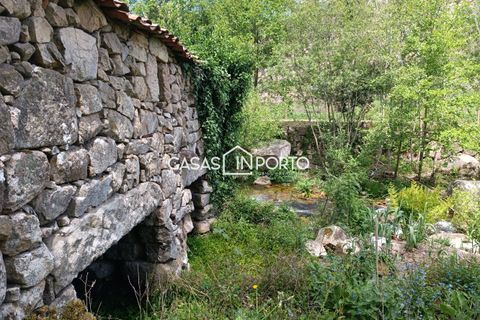 Villa i Baiao, Porto, Baiao - € 120.000 | Ref: Moradias_InBaião_4062 - foto 3