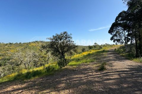 Ruinere i Ourique, Beja, Ourique - € 139.500 | Ref: K- 247 - K-248 - foto 10