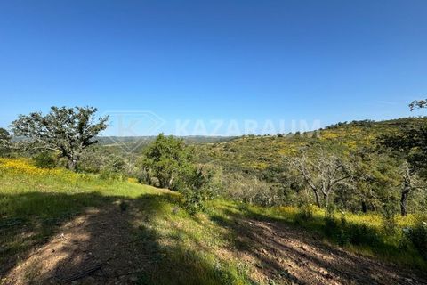 Ruinere i Ourique, Beja, Ourique - € 139.500 | Ref: K- 247 - K-248 - foto 11