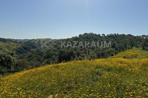 Ruinere i Ourique, Beja, Ourique - € 139.500 | Ref: K- 247 - K-248 - foto 12