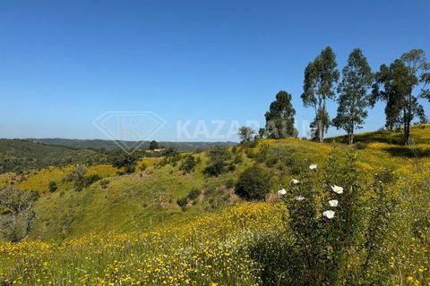 Ruinere i Ourique, Beja, Ourique - € 139.500 | Ref: K- 247 - K-248 - foto 15