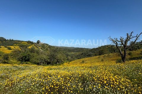 Ruinere i Ourique, Beja, Ourique - € 139.500 | Ref: K- 247 - K-248 - foto 16