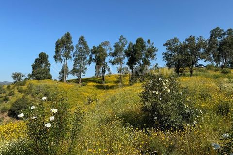 Ruinere i Ourique, Beja, Ourique - € 139.500 | Ref: K- 247 - K-248 - foto 17