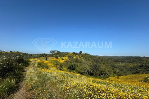 Ruinere i Ourique, Beja, Ourique - € 139.500 | Ref: K- 247 - K-248 - foto 18