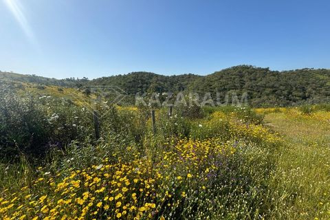 Ruinere i Ourique, Beja, Ourique - € 139.500 | Ref: K- 247 - K-248 - foto 19
