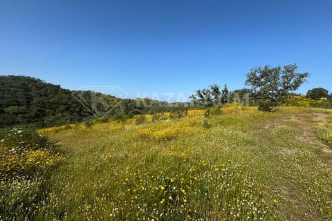 Ruinere i Ourique, Beja, Ourique - € 139.500 | Ref: K- 247 - K-248 - foto 20