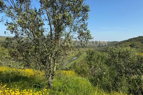 Ruinere i Ourique, Beja, Ourique - € 139.500 | Ref: K- 247 - K-248 - foto 24