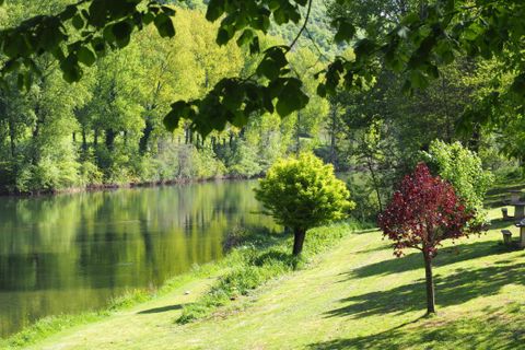 Villa a Ambialet, Tarn, Ambialet - € 120.000 | Ref: AJ4427 - foto 15