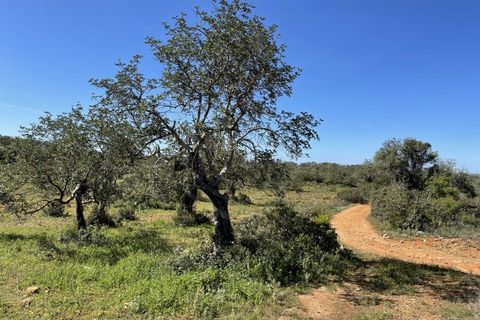Helårsgrund i Paderne, Faro, Paderne - € 459.000 | Ref: SÒL_52056 - foto 6