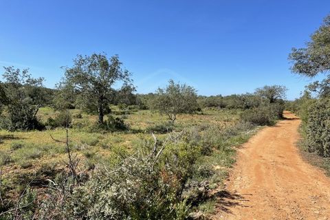 Helårsgrund i Paderne, Faro, Paderne - € 459.000 | Ref: SÒL_52056 - foto 8