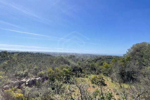 Helårsgrund i Paderne, Faro, Paderne - € 79.000 | Ref: SÒL_52055 - foto 3