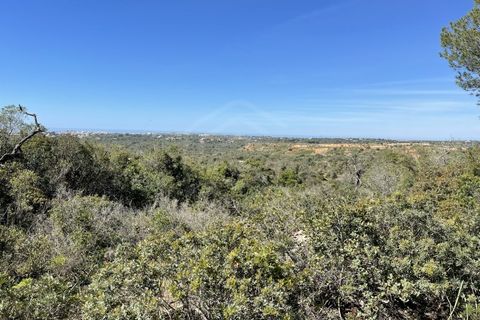 Helårsgrund i Paderne, Faro, Paderne - € 79.000 | Ref: SÒL_52055 - foto 5