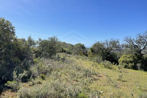 Helårsgrund i Paderne, Faro, Paderne - € 79.000 | Ref: SÒL_52055 - foto 6