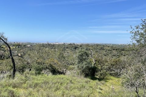 Helårsgrund i Paderne, Faro, Paderne - € 39.000 | Ref: SÒL_52054 - foto 2